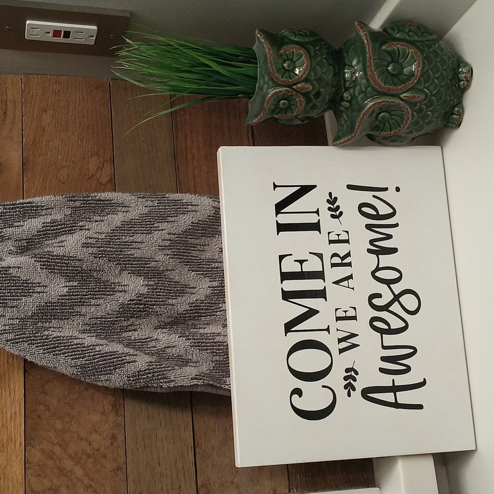 Home decor/sign "come in we are awesome "